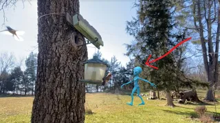 ALIENS! Caught On Camera! First Ever! Hidden CCTV Security Trail Cam Camera Captures UFO Creatures!