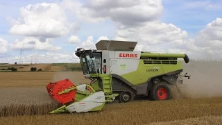 Big Harvest - Claas Lexion 770 TT & V1050