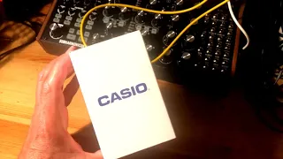 Casio W-217h Unboxing Compare With Casio F-91W