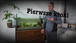 Aksolotl pierwsze kroki