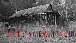 Stalked by a Werewolf in Ohio (The Cabin)