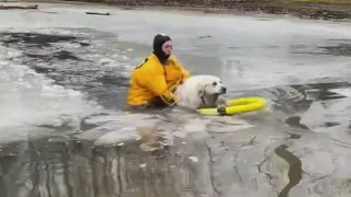 A rescue tale: Suburban Chicago firefighter saves dog from icy waters