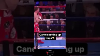 Canelo's Intelligent KO Strategy And Trap #shorts