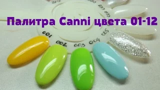 Палитра Canni цвета 01-12. Canni выкраска. Канни плотность. Обзор