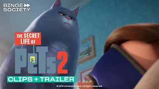 The Secret life of Pets 2: Clip + Trailer