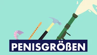 Penisgrößen | Sex2Go