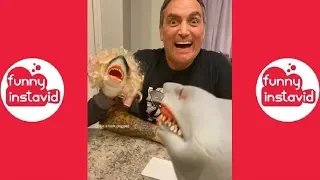 Shark Puppet Funny Instagram Videos Compilation 2019 - Funny InstaVID