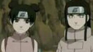 Neji and Tenten- All You Wanted