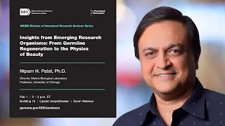 NHGRI DIR Seminar Series - Nipam Patel