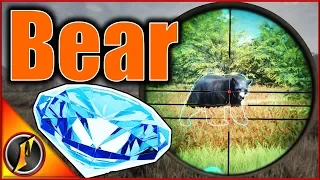 Diamond Black Bear!?! | theHunter Call of the Wild