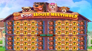 ПРОВЕРКА ВЫДАЧИ DOG HOUSE MULTIHOLD! TAKER