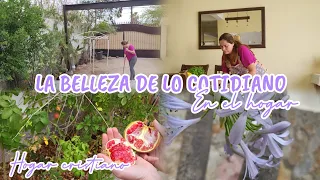 Haz de lo ordinario algo extraordinario en tu hogar ✨️ / Ya soy jardinera 😅