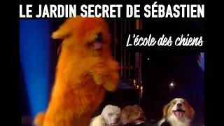 Le jardin secret de Sébastien - L'école des chiens - Ep10