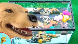 Learn Colors with Fun Animal Toys in Fish Tank by Squishee Nugget
