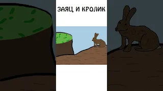 Как еще различить кролика и зайца #академияброкколи #shorts #анимация #шортс #животные