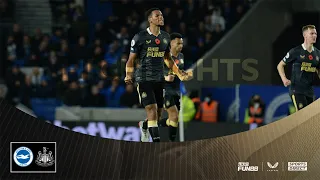 Brighton and Hove Albion 1 Newcastle United 1 | Premier League Highlights