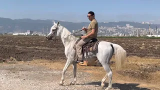 מוזיקה שמרגיעה את מערכת העצבים משפרת את הזיכרון Музыка расслабляющая нервную систему улучшает память