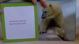 Baby Polar Bear Learns To Swim, By Laura Gates Galvin, Read By: Angelina Jean