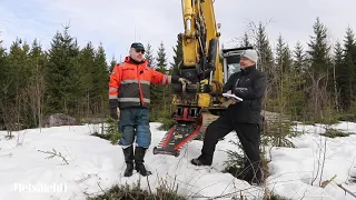 Taimikonhoitoon kaivinkoneella | Metsälehti