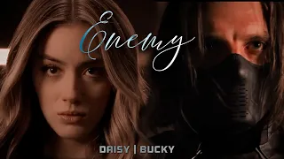 Daisy and Bucky // Enemy