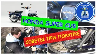 Как выбрать Honda Super Cub (Хонду Супер Каб)