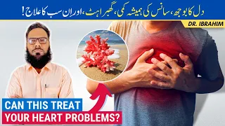 Can This Treat Your Heart? | Dil Ka Bojh, Sans Ki Kami, Ghabrahat - Heart Disease - Urdu/Hindi