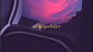 arikil pathiye slowed and reverb | Oru Murai Vanthu Paarthaya