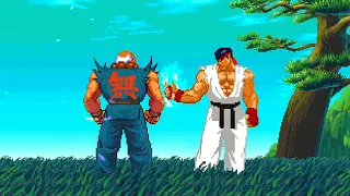 Shin Gouken Vs. Ryu Mushin - Controls