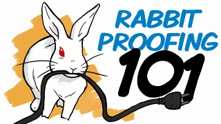 Rabbit Proofing 101