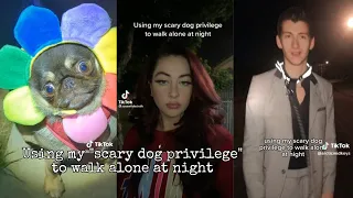 Using my scary dog privilege to walk alone at night ~ Tiktok Compilation