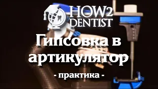 Как работать с лицевой дугой и артикулятором? / How to Dentist