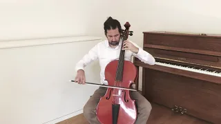Bach und Haydn auf dem Cello piccolo