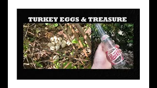 Dump Digging Archaeology - Wild Turkey Eggs - Bottle Digging - Pepsi Cola - Marbles - Antiques -