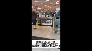 Thieves with hammers target Northridge Macy's store during smash-and-grab robbery