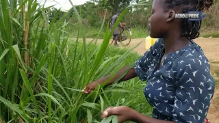Village life in Uganda (AFRICA)
