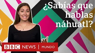 Las palabras que el náhuatl le dejó al español (y que usas sin saber) | BBC Mundo