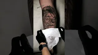 tatto - TATUAGEM DE LEÃO na perna 💥