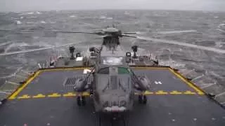 Royal Canadian Navy DRDC Flight Deck Motion System CH-124 Sea King helicopter