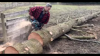 Makita Chainsaw gettin' it , Tree man Rope Coiling  , Husky 266xp.