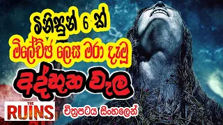 මිනිසුන් 6 ක් මිලේච්ඡ ලෙස මරා දැමූ අද්භූත වැල | "The Ruins" Movie Review in Sinhala | SL Movie World