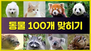 동물 100개를 맞혀보세요 | 동물 퀴즈 | 3초만에 동물 맞히기