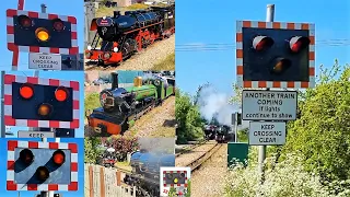 Level Crossings & Trains on the Romney, Hythe & Dymchurch Railway (May 2022, 95th Anniversary Gala)