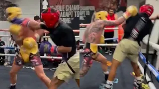 Curmel Moton Mastering Floyd Mayweather SHOULDER ROLL Defense in Sparring: Gervonta Davis 2.0