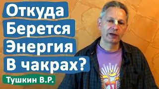 ОТКУДА БЕРЕТСЯ ЭНЕРГИЯ В ЧАКРАХ? • ВАСИЛИЙ ТУШКИН