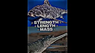 Sharks Vs Crocodilians Tournament PT 19