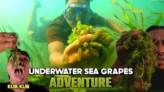 UNDERWATER SEA GRAPES ADVENTURE | GRABI ANG SARAP | MarinongDj