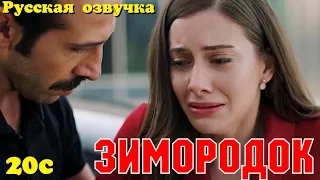 ЗИМОРОДОК 20 Серия/ Yali Capkini Турецкий сериал. Turkish TV Series