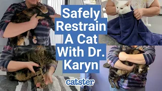 Vet shows how to safely restrain cats
