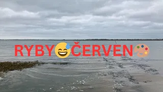 ♓RYBY😅ČERVEN🎨ODHODŤE ZÁVÁŽÍ