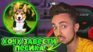 🐶ЭДИСОН ХОЧЕТ ЗАВЕСТИ НОВУЮ СОБАКУ?